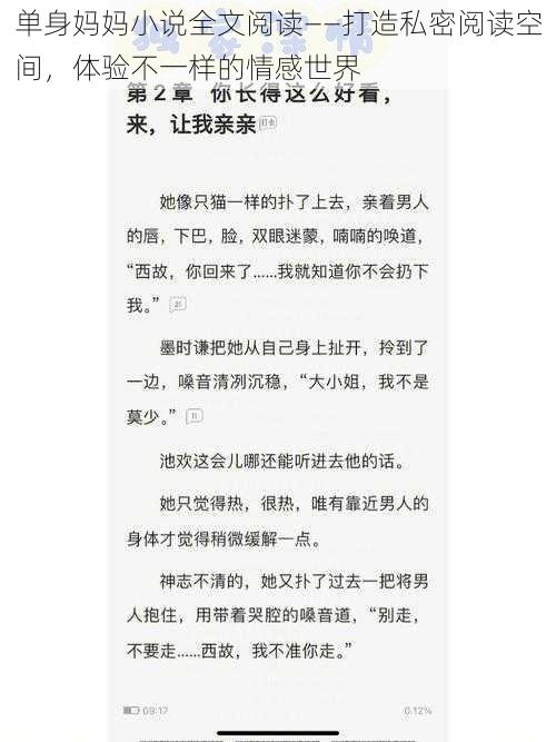 单身妈妈小说全文阅读——打造私密阅读空间，体验不一样的情感世界