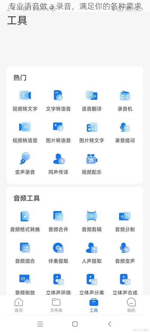 专业语音做 a 录音，满足你的各种需求