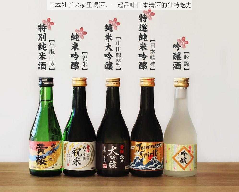 日本社长来家里喝酒，一起品味日本清酒的独特魅力