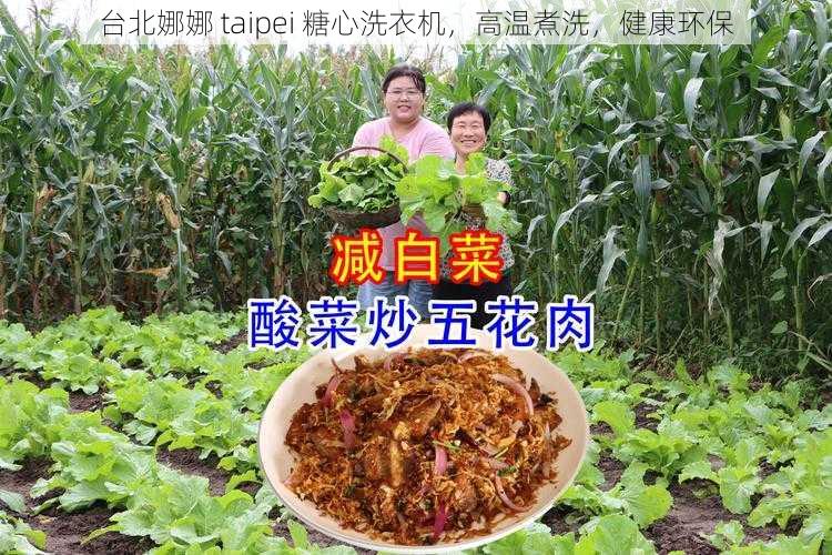 台北娜娜 taipei 糖心洗衣机，高温煮洗，健康环保