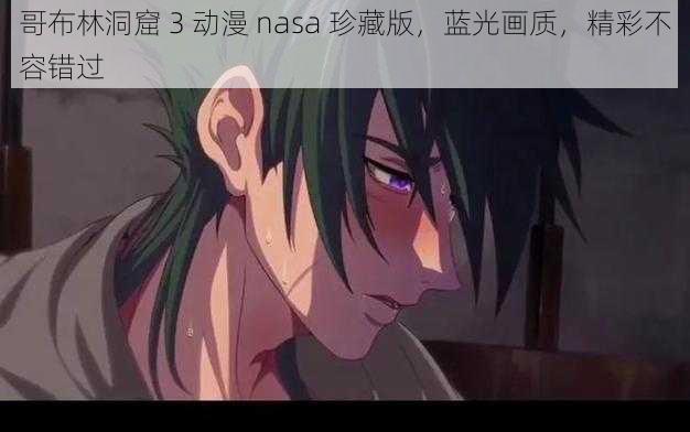 哥布林洞窟 3 动漫 nasa 珍藏版，蓝光画质，精彩不容错过