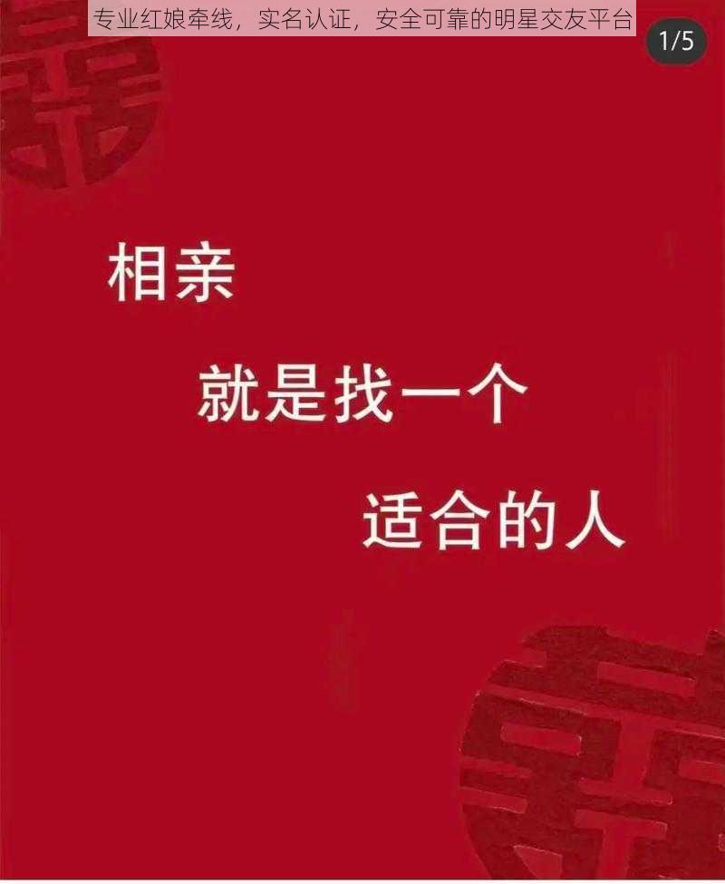 专业红娘牵线，实名认证，安全可靠的明星交友平台