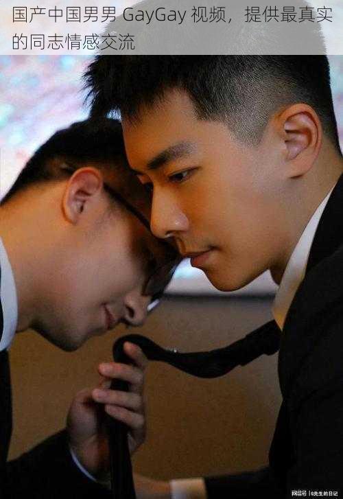 国产中国男男 GayGay 视频，提供最真实的同志情感交流