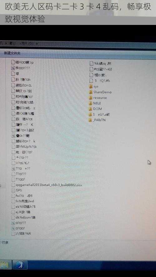 欧美无人区码卡二卡 3 卡 4 乱码，畅享极致视觉体验