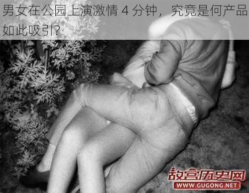 男女在公园上演激情 4 分钟，究竟是何产品如此吸引？