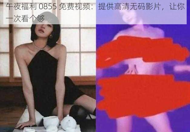 午夜福利 0855 免费视频：提供高清无码影片，让你一次看个够