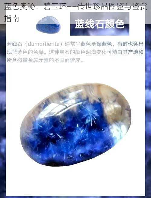 蓝色奥秘：碧玉环——传世珍品图鉴与鉴赏指南