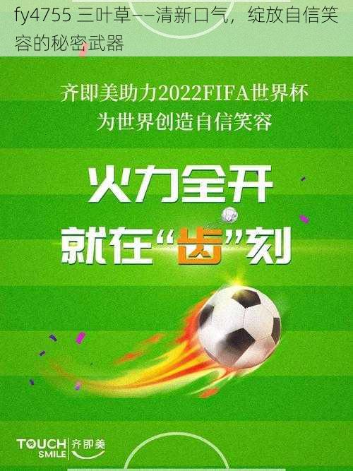 fy4755 三叶草——清新口气，绽放自信笑容的秘密武器