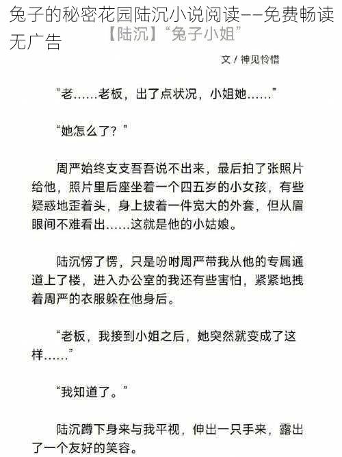 兔子的秘密花园陆沉小说阅读——免费畅读无广告