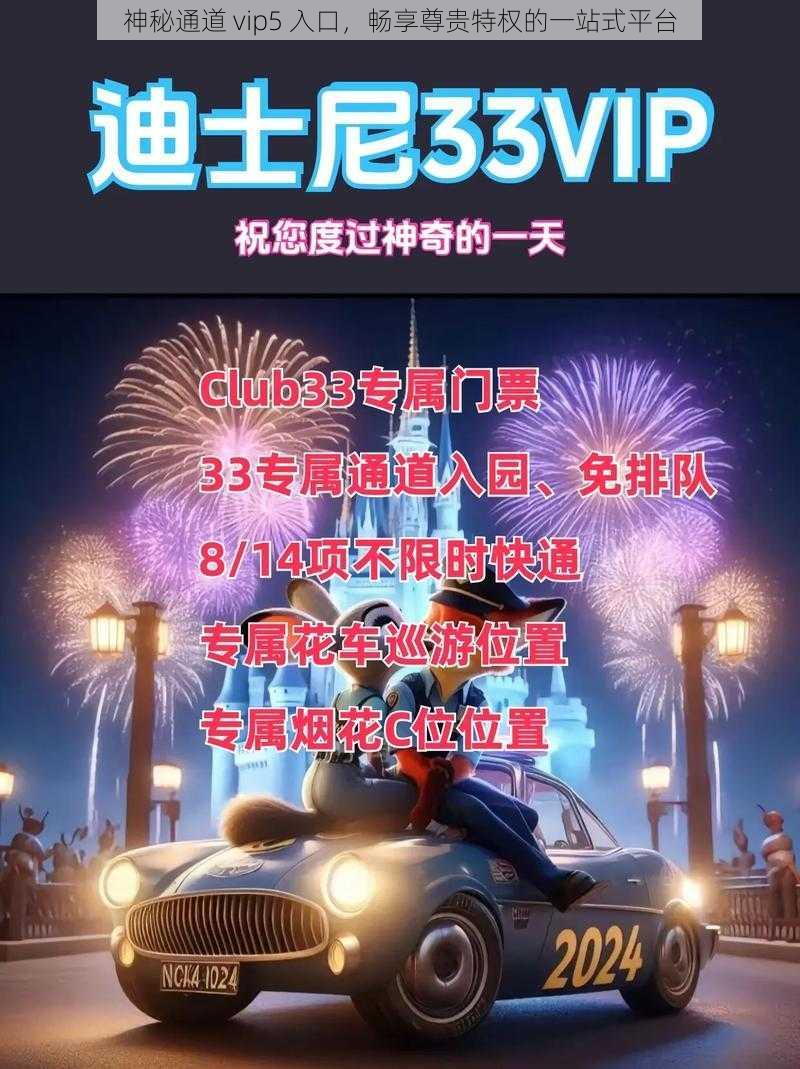 神秘通道 vip5 入口，畅享尊贵特权的一站式平台