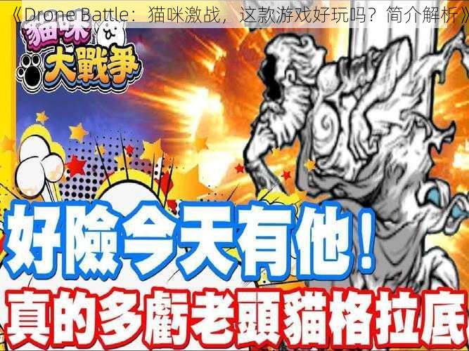 《Drone Battle：猫咪激战，这款游戏好玩吗？简介解析》