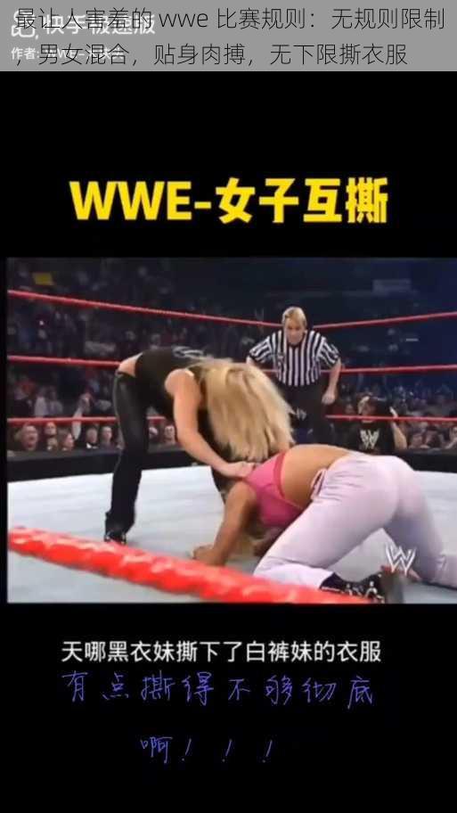 最让人害羞的 wwe 比赛规则：无规则限制，男女混合，贴身肉搏，无下限撕衣服