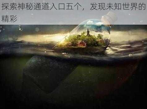 探索神秘通道入口五个，发现未知世界的精彩