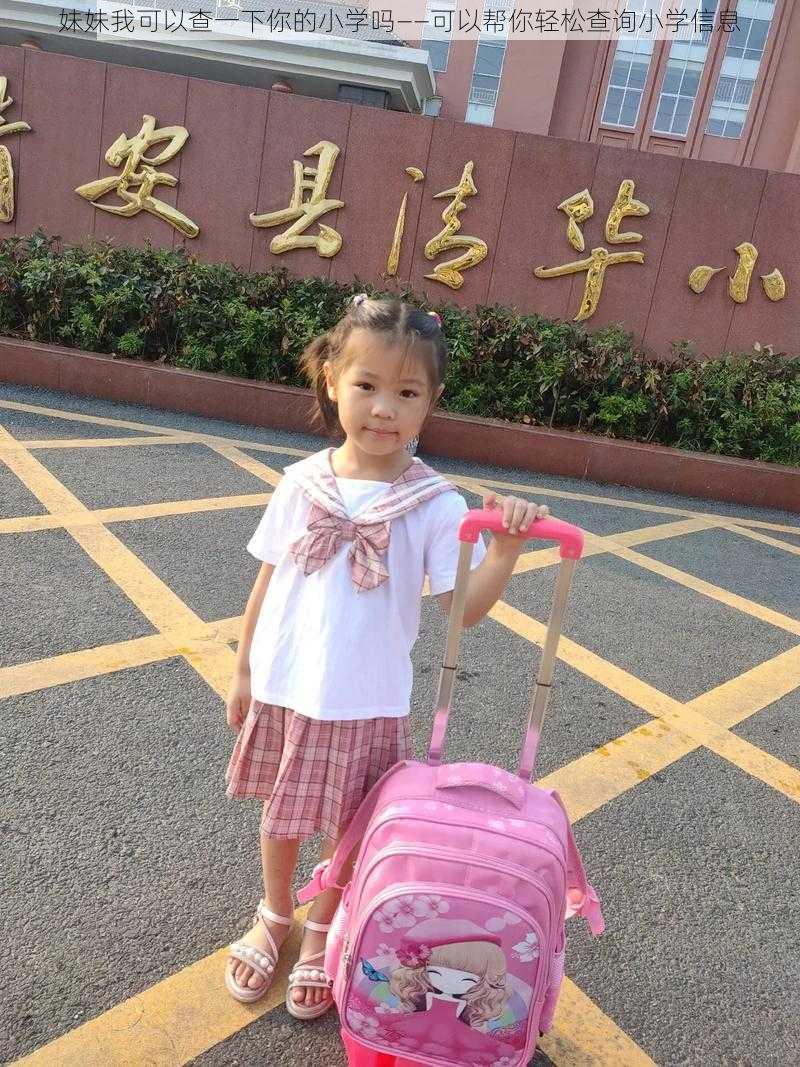 妹妹我可以查一下你的小学吗——可以帮你轻松查询小学信息