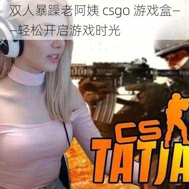 双人暴躁老阿姨 csgo 游戏盒——轻松开启游戏时光