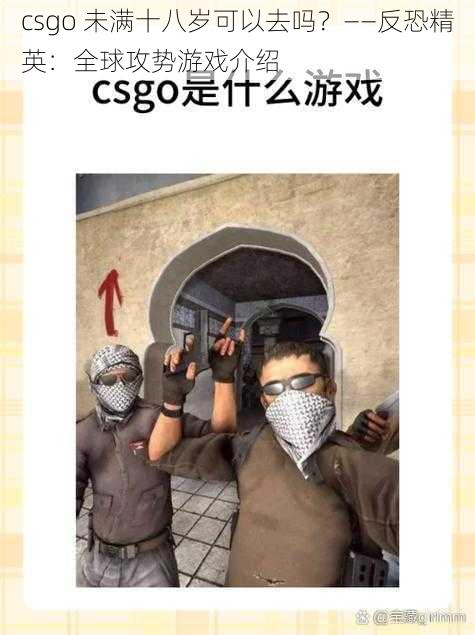 csgo 未满十八岁可以去吗？——反恐精英：全球攻势游戏介绍