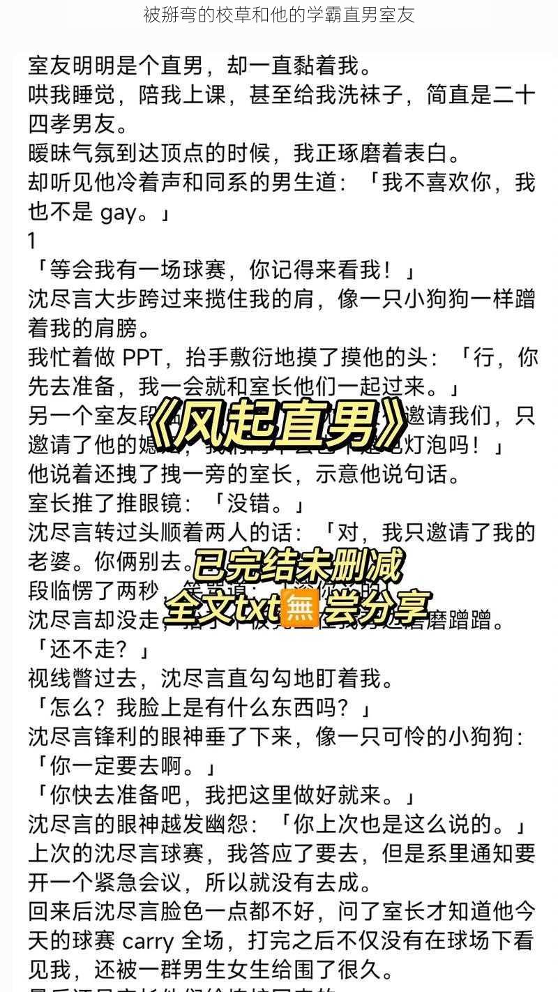 被掰弯的校草和他的学霸直男室友