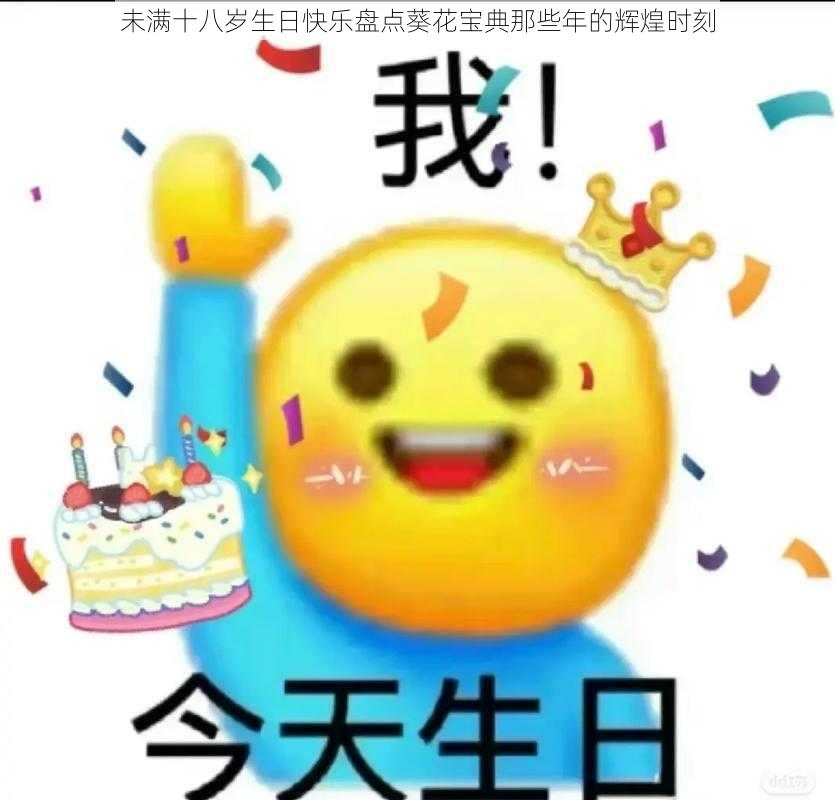 未满十八岁生日快乐盘点葵花宝典那些年的辉煌时刻