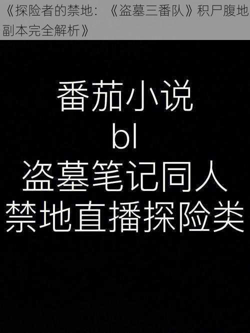 《探险者的禁地：《盗墓三番队》积尸腹地副本完全解析》