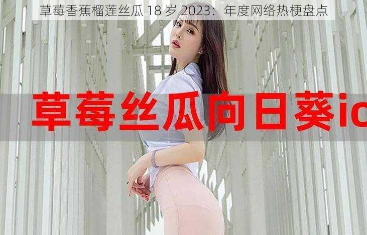 草莓香蕉榴莲丝瓜 18 岁 2023：年度网络热梗盘点