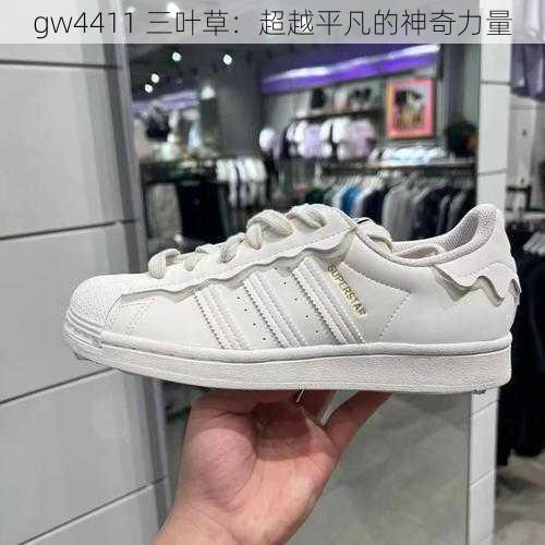 gw4411 三叶草：超越平凡的神奇力量