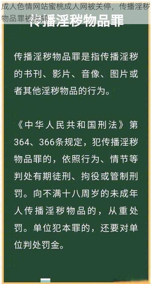 成人色情网站蜜桃成人网被关停，传播淫秽物品罪被批捕