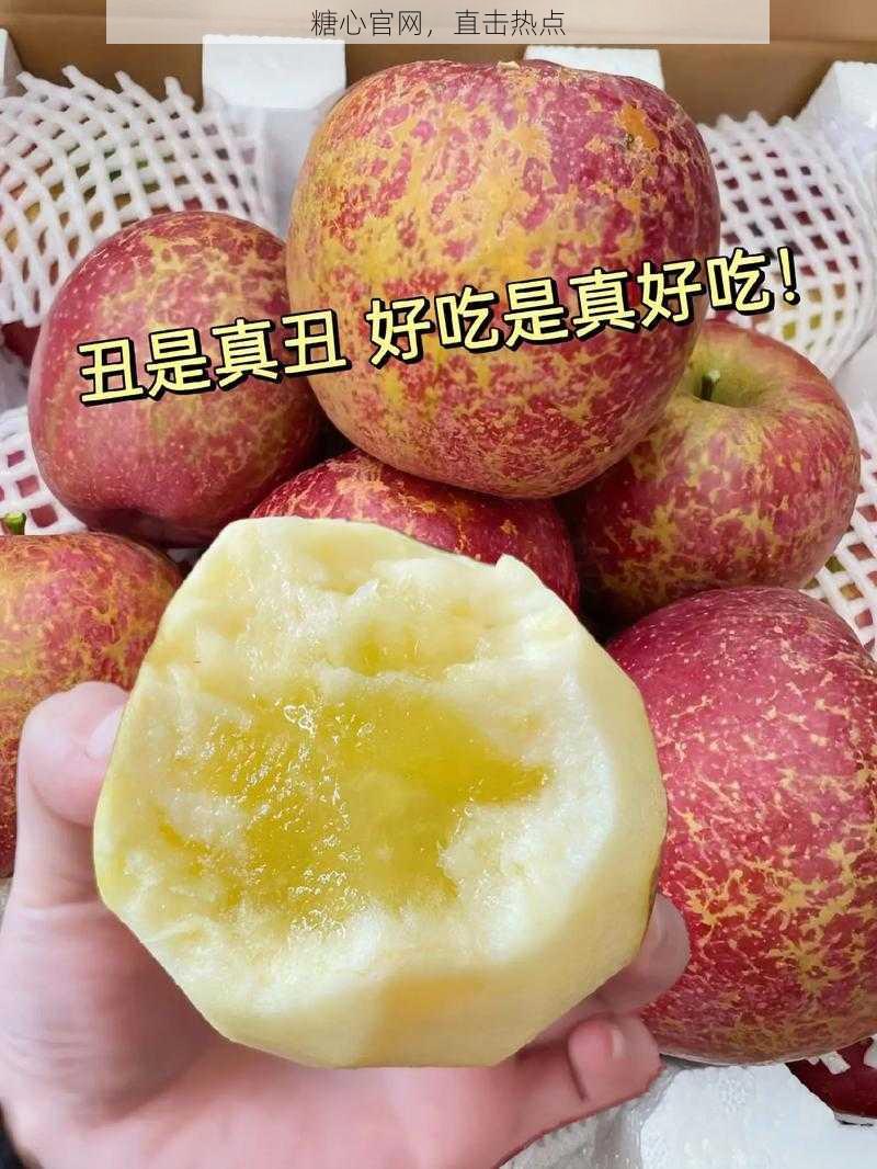 糖心官网，直击热点