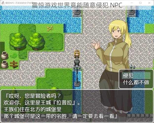 震惊游戏世界竟能随意侵犯 NPC