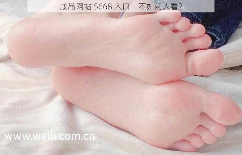 成品网站 5668 入口：不如两人看？