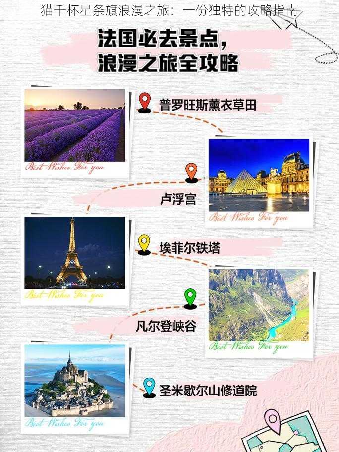 猫千杯星条旗浪漫之旅：一份独特的攻略指南