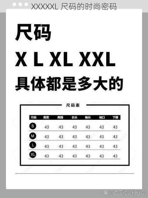 XXXXXL 尺码的时尚密码